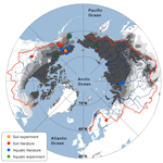 BG - Biodegradability of dissolved organic carbon in permafrost soils ...