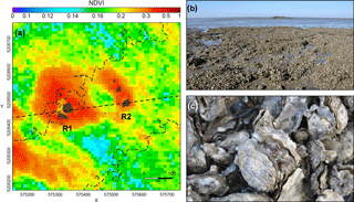 https://www.biogeosciences.net/15/905/2018/bg-15-905-2018-f02