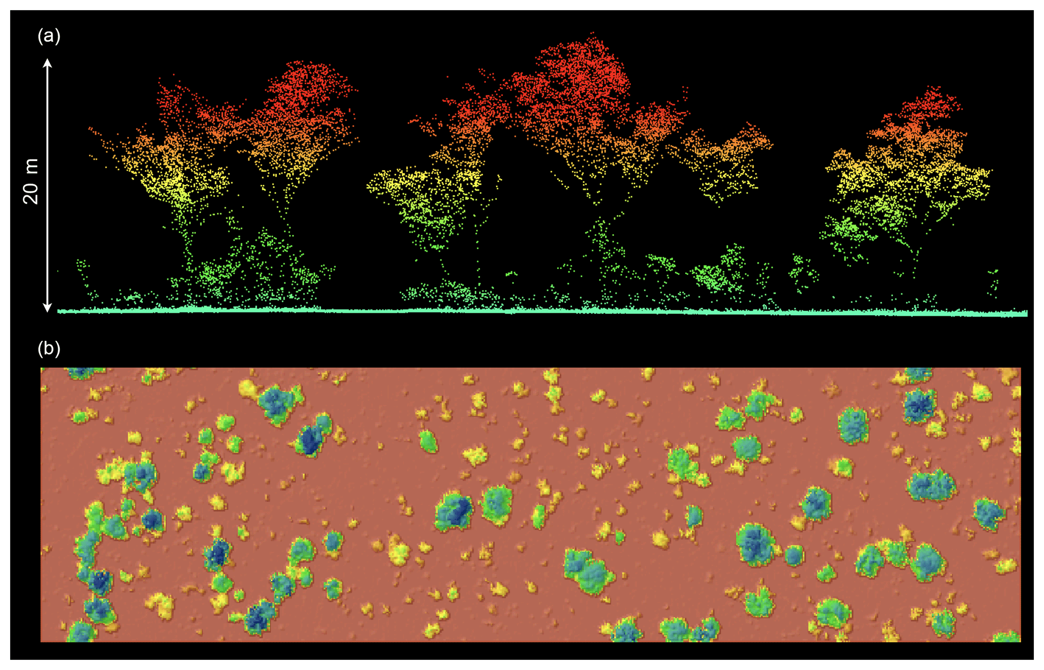 BG - Rapid response of habitat structure and above-ground ...