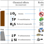 literature review on river water quality