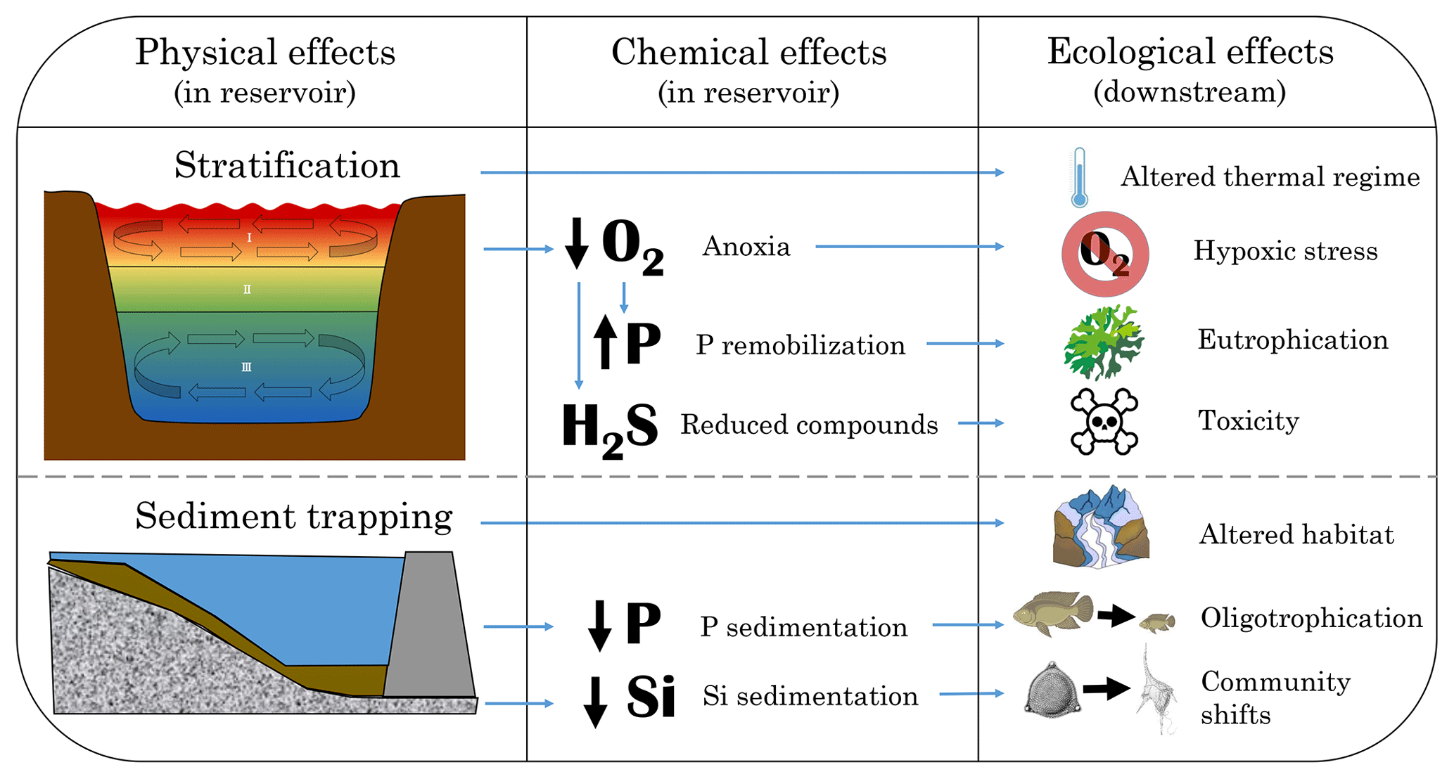 BG Reviews And Syntheses Dams Water Quality And Tropical Reservoir 