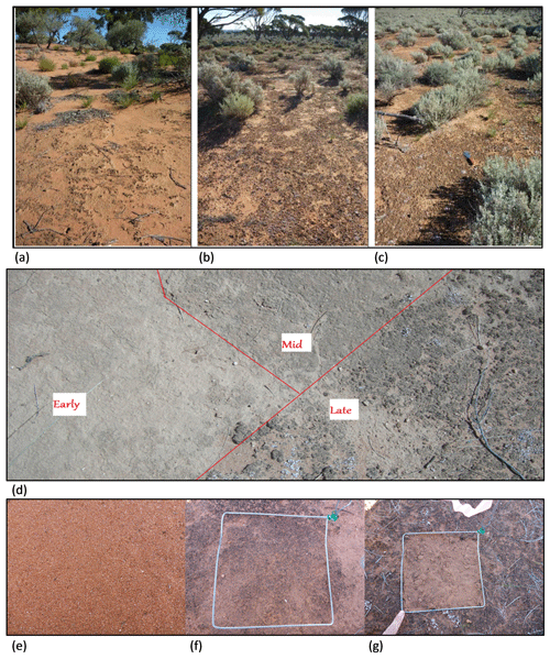 https://www.biogeosciences.net/16/2189/2019/bg-16-2189-2019-f02