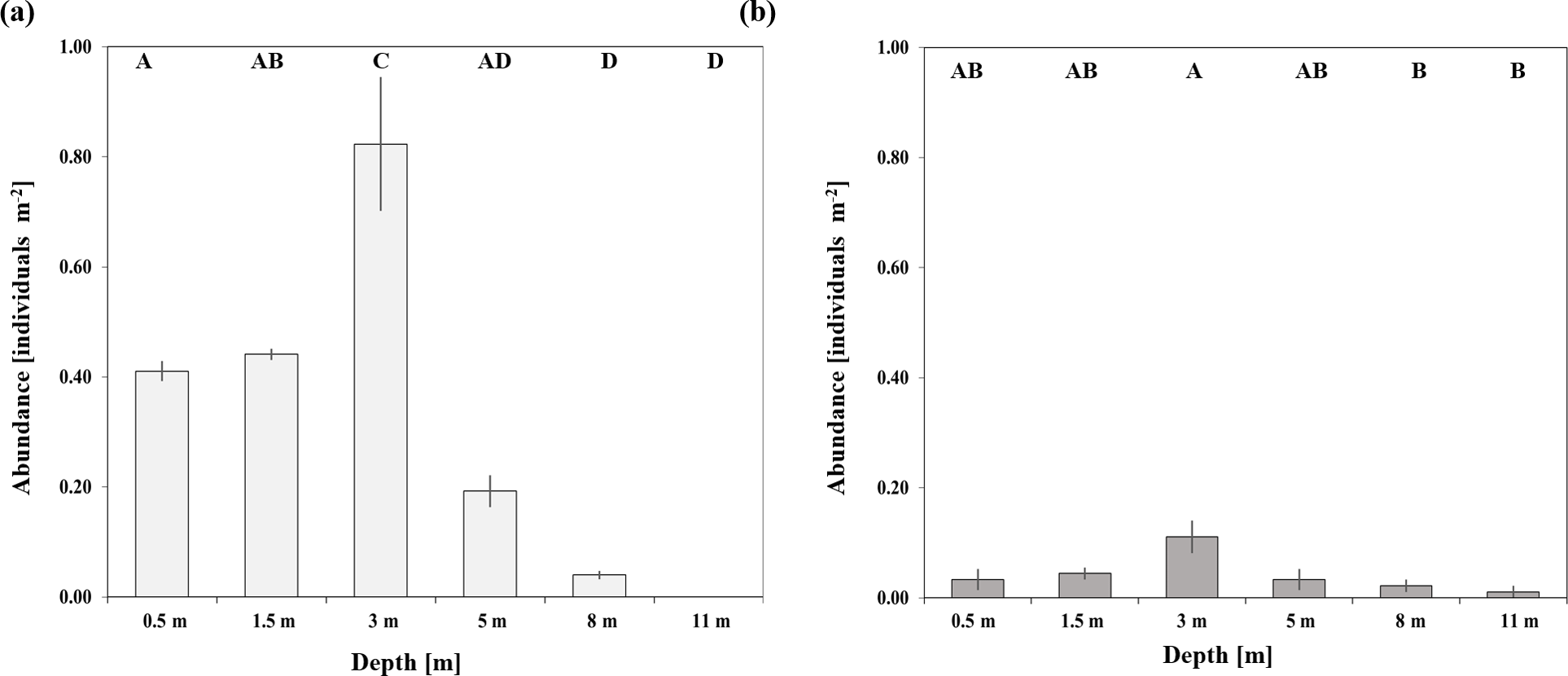 Bg Light Dependent Calcification In Red Sea Giant Clam Tridacna Maxima