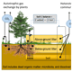 BG - Relations - Reviews and syntheses: 210Pb-derived sediment and ...