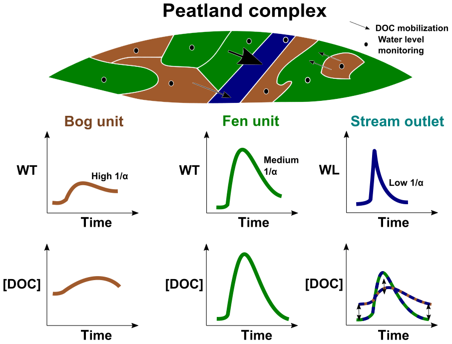 Frontiers  Meteorological Controls on Water Table Dynamics in Fen  Peatlands Depend on Management Regimes