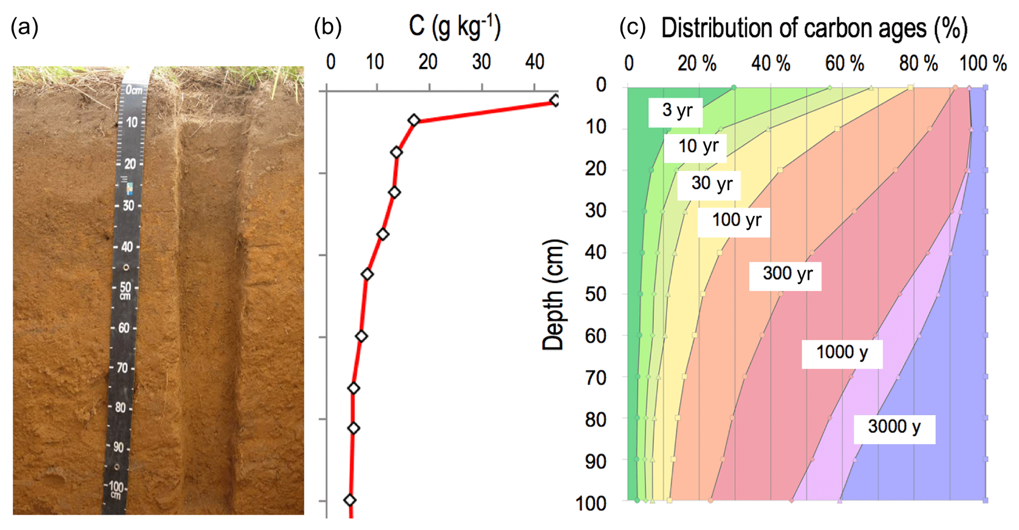 Bg Reviews And Syntheses The Mechanisms Underlying Carbon Storage In Soil