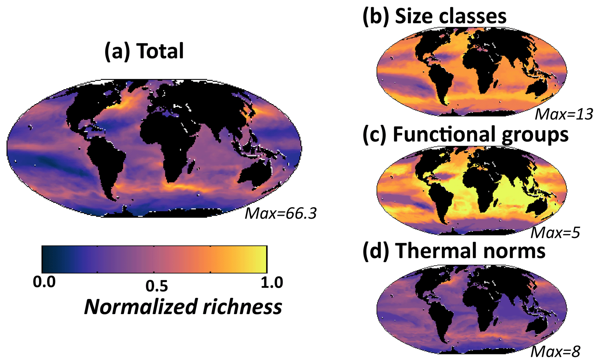 Bg Dimensions Of Marine Phytoplankton Diversity