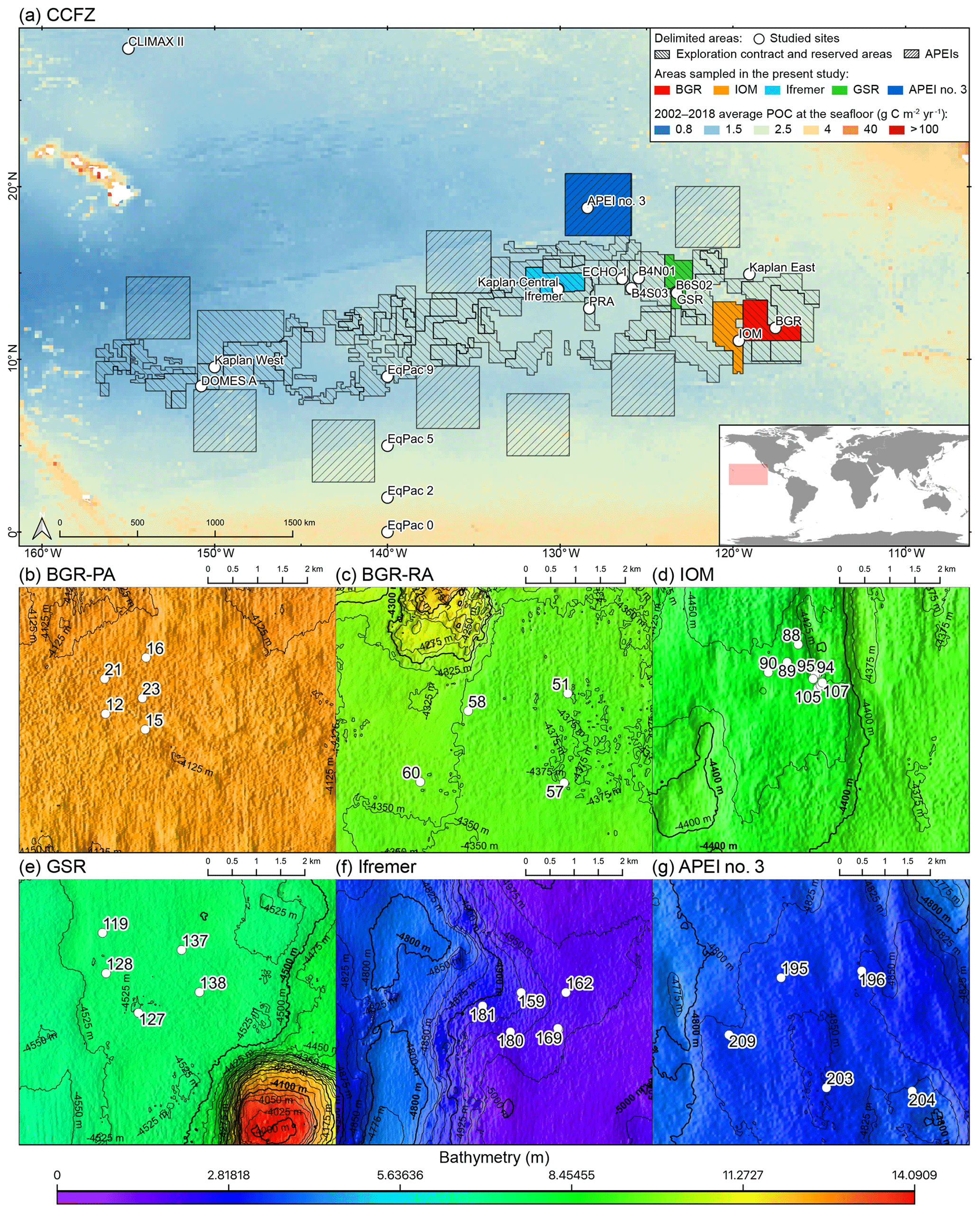 Bg Alpha And Beta Diversity Patterns Of Polychaete Assemblages Across The Nodule Province Of The Eastern Clarion Clipperton Fracture Zone Equatorial Pacific