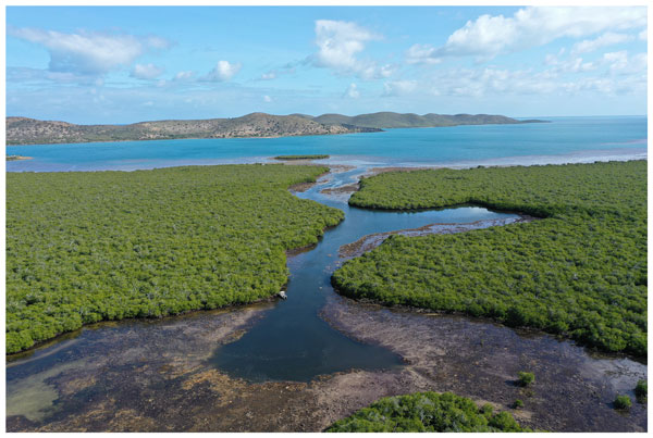 BG Relations The Bourak semi enclosed lagoon New Caledonia