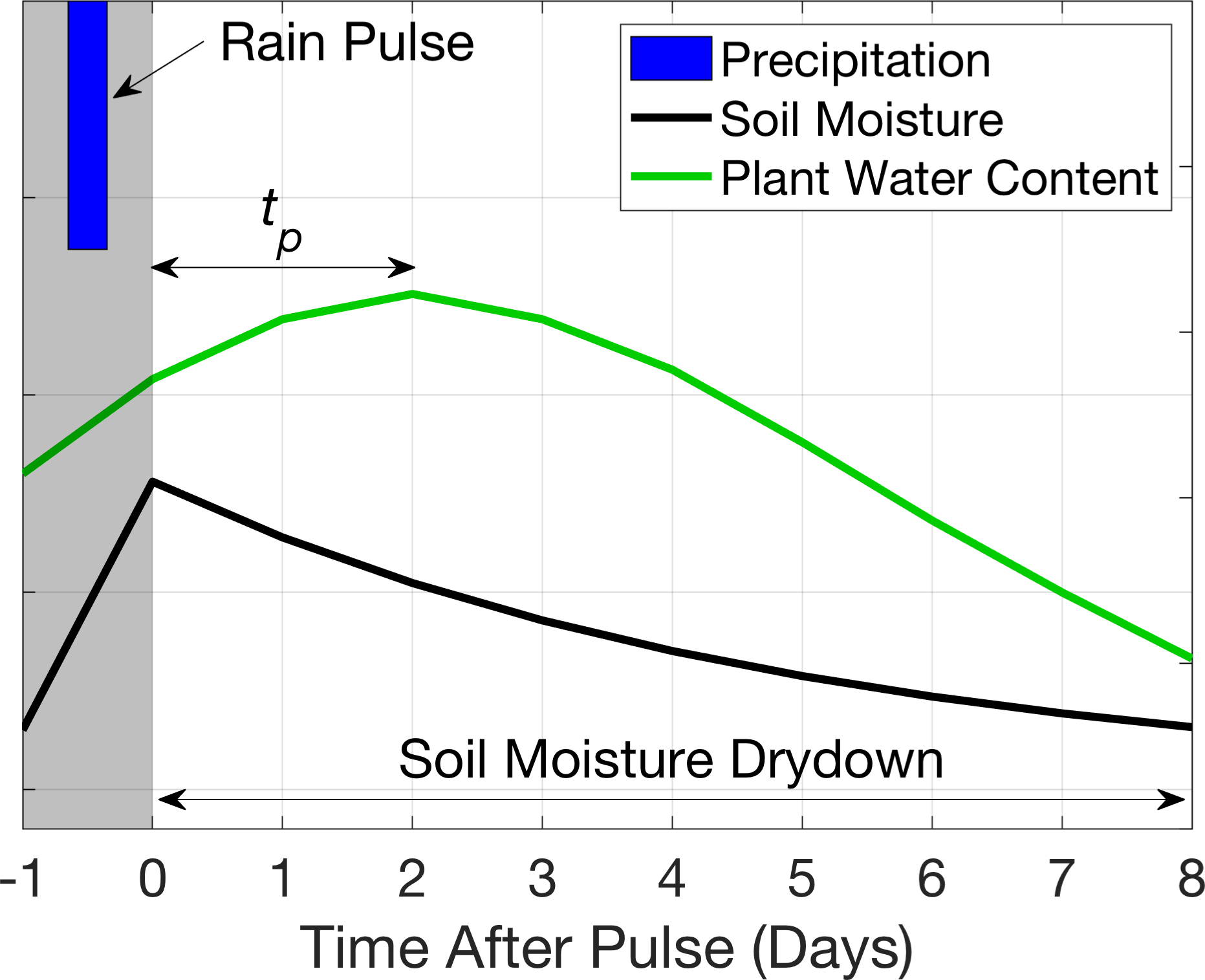 Bg Patterns Of Plant Rehydration And Growth Following Pulses Of Soil Moisture Availability