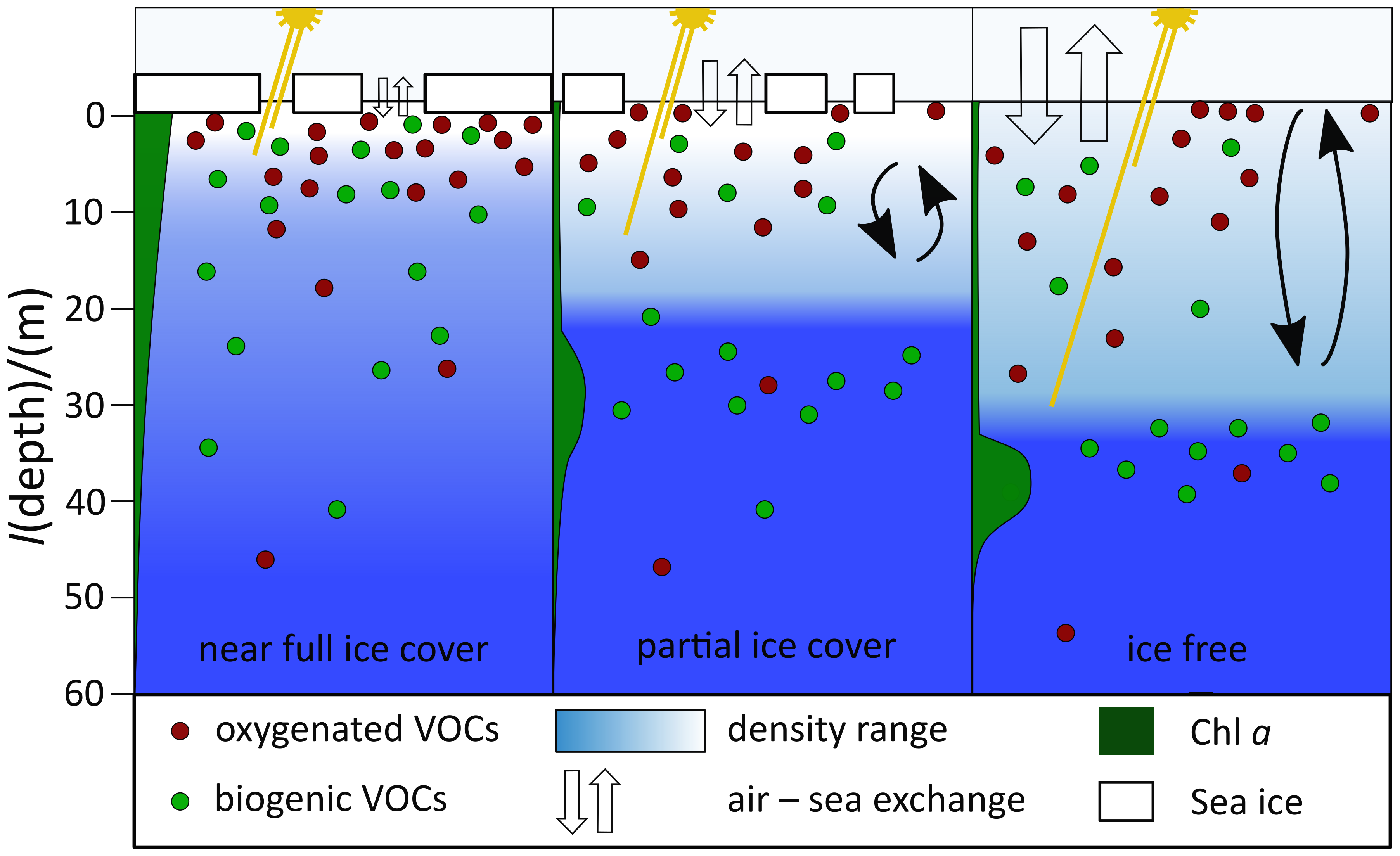 BG - Sea ice concentration impacts dissolved organic gases in the Canadian  Arctic