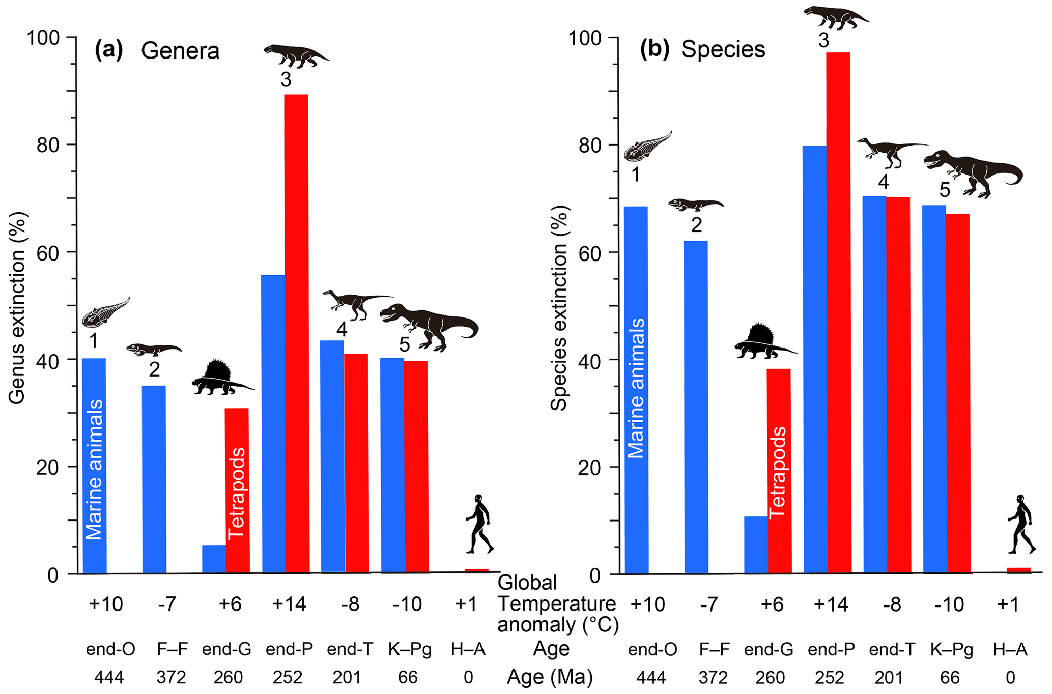 BG - Relationship between extinction magnitude and climate change during  major marine and terrestrial animal crises
