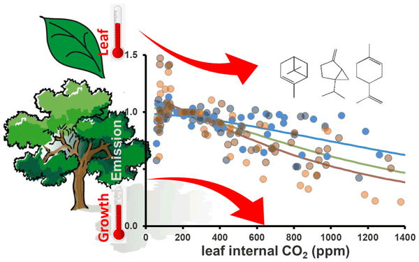 BG - Relations - Reviews and syntheses: Carbon use efficiency from 