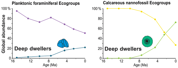 CP - Biotic response of plankton communities to Middle to Late Miocene  monsoon wind and nutrient flux changes in the Oman margin upwelling zone