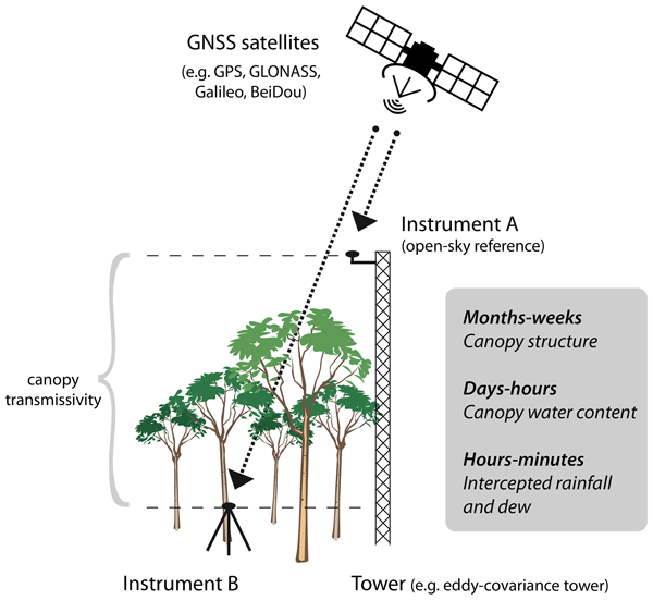 BG - Relations - Continuous ground monitoring of vegetation