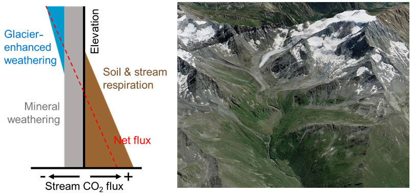 BG - Glacier loss and vegetation expansion alter organic and inorganic  carbon dynamics in high-mountain streams