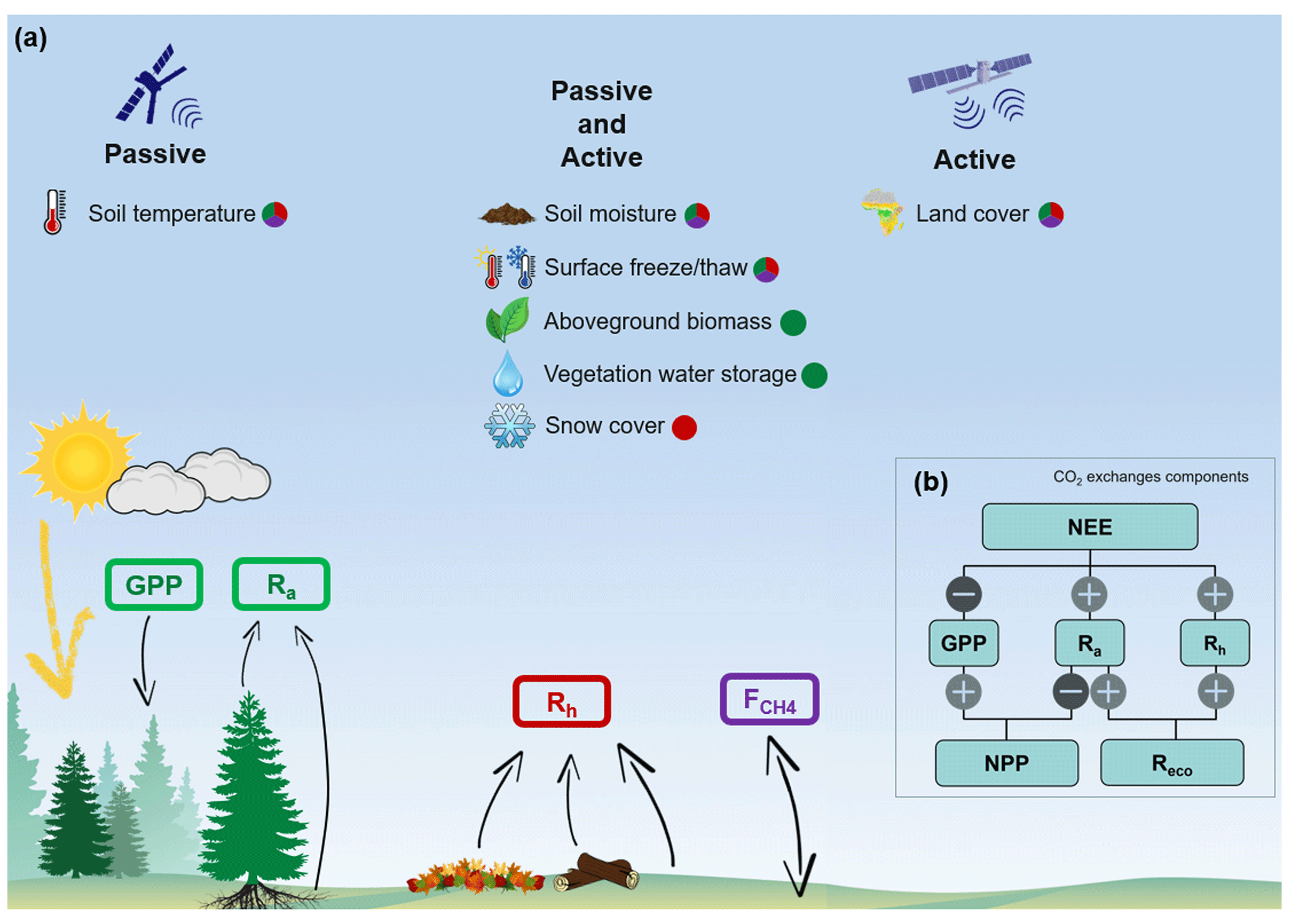 BG - Reviews and syntheses: Recent advances in microwave remote