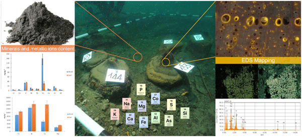 BG - Deciphering the origin of dubiofossils from the Pennsylvanian of the  Paraná Basin, Brazil