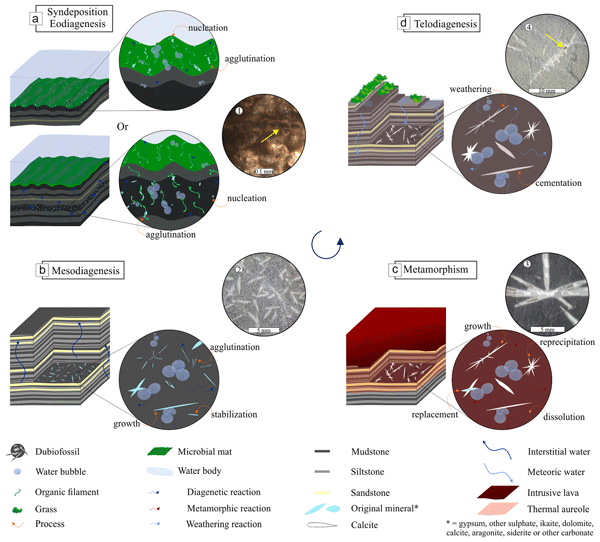 BG - Deciphering the origin of dubiofossils from the Pennsylvanian of the  Paraná Basin, Brazil