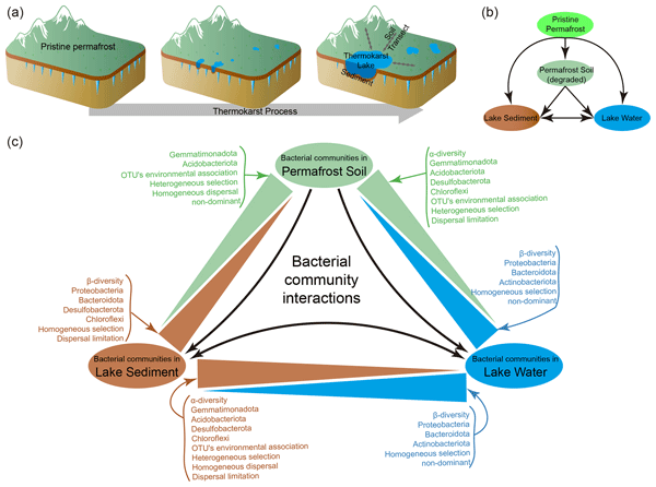 BG - Relations - Differentiation of cognate bacterial communities 