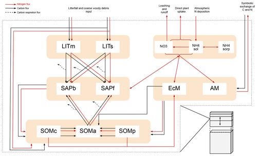 https://bg.copernicus.org/articles/21/3789/2024/bg-21-3789-2024-f08