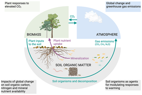 https://bg.copernicus.org/articles/21/3959/2024/bg-21-3959-2024-f01