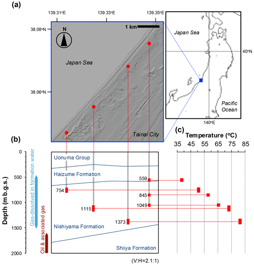 https://bg.copernicus.org/articles/21/4273/2024/bg-21-4273-2024-f01