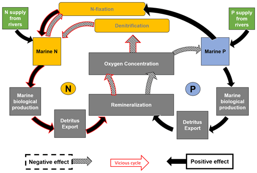 https://bg.copernicus.org/articles/21/4469/2024/bg-21-4469-2024-f10