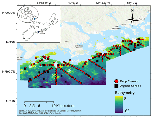 https://bg.copernicus.org/articles/21/4569/2024/bg-21-4569-2024-f01