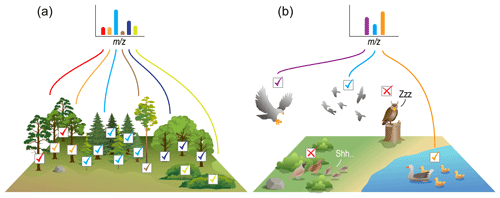 https://bg.copernicus.org/articles/21/4665/2024/bg-21-4665-2024-f05