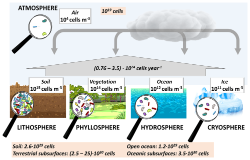 https://bg.copernicus.org/articles/22/243/2025/bg-22-243-2025-f01