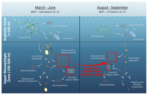 https://bg.copernicus.org/articles/22/3301/2025/bg-22-3301-2025-f06