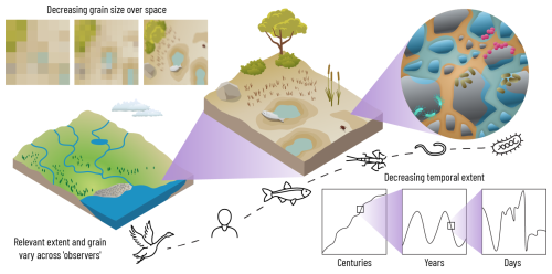 https://bg.copernicus.org/articles/22/995/2025/bg-22-995-2025-f11