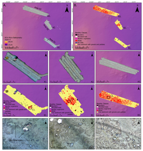 https://bg.copernicus.org/articles/23/3139/2026/bg-23-3139-2026-f02