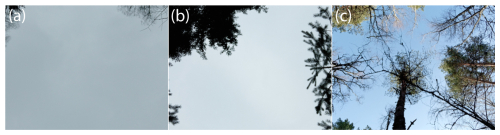 https://bg.copernicus.org/articles/23/4199/2026/bg-23-4199-2026-f02