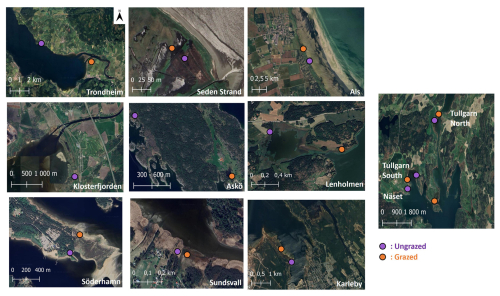 https://bg.copernicus.org/articles/23/4583/2026/bg-23-4583-2026-f02