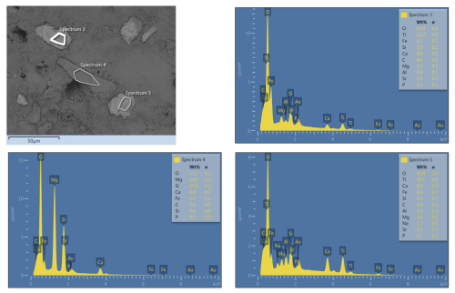 https://bg.copernicus.org/articles/23/4759/2026/bg-23-4759-2026-f11