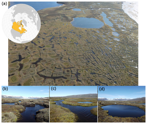 https://bg.copernicus.org/articles/23/5359/2026/bg-23-5359-2026-f01