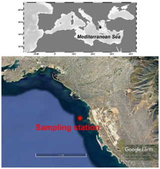 https://bg.copernicus.org/articles/23/5377/2026/bg-23-5377-2026-f01