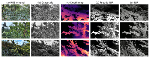 https://bg.copernicus.org/articles/23/5607/2026/bg-23-5607-2026-f02
