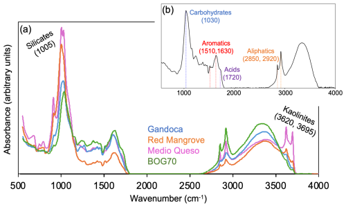 https://bg.copernicus.org/articles/23/5653/2026/bg-23-5653-2026-f12