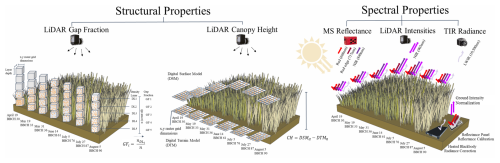 https://bg.copernicus.org/articles/23/6179/2026/bg-23-6179-2026-f05