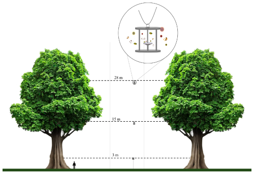 https://bg.copernicus.org/articles/23/6931/2026/bg-23-6931-2026-f01